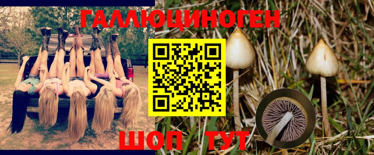 магазин    Псилоцибиновые грибы ЛСД  Вход с VPN  Ростов-на-Дону 