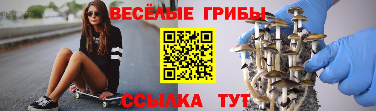 Галлюциногенные грибы Psilocybe Ростов-на-Дону